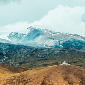 张筱雨艺术课照片大全高清
