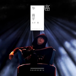 张筱雨艺术课照片大全高清
