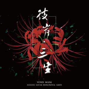 张筱雨艺术课照片大全高清
