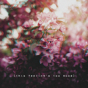 张筱雨艺术课照片大全高清
